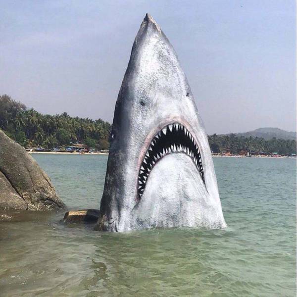 morning picdump 53 pics 16.html - 53 HD Photos | Premium Gallery 2018