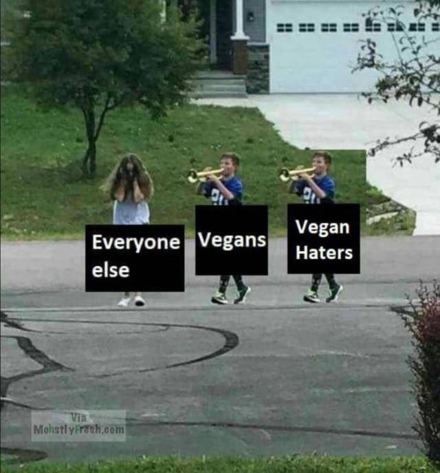 funny picdump 52 pics 14.html - 52 HD Photos | Premium Gallery 2018