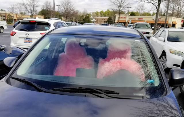 morning picdump 55 pics 2.html - 55 HD Photos | Premium Gallery 2018