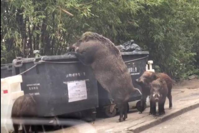 morning picdump 55 pics 2.html - 55 HD Photos | Premium Gallery 2018