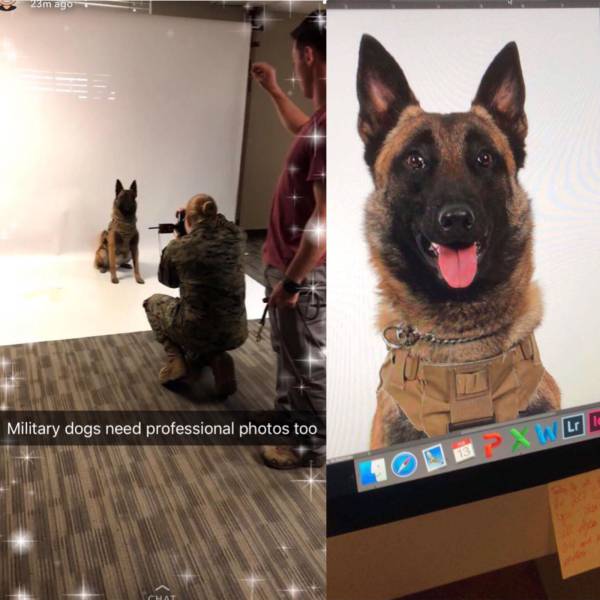 daily picdump 98 pics 41.html - 98 HD Photos | Premium Gallery 2018