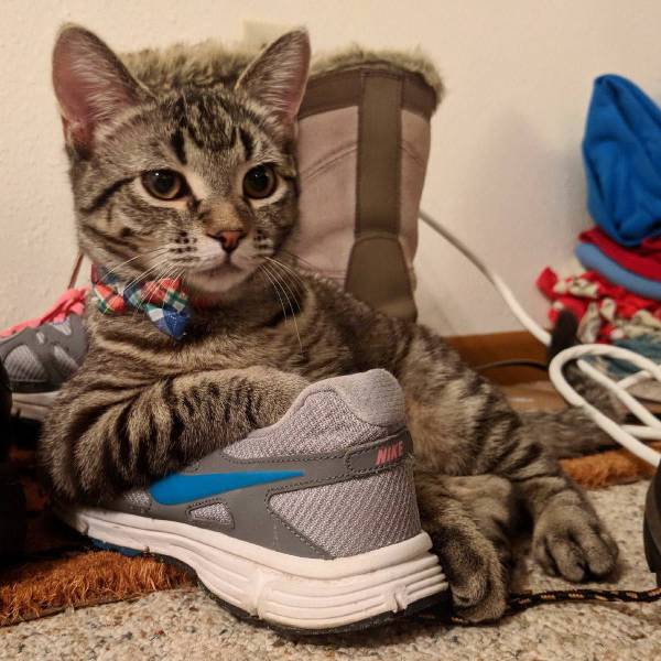 daily picdump 98 pics 41.html - 98 HD Photos | Premium Gallery 2018