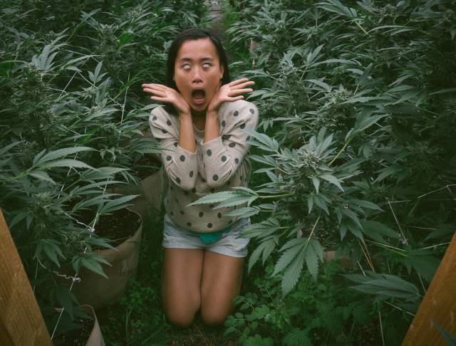 daily picdump 98 pics 41.html - 98 HD Photos | Premium Gallery 2018