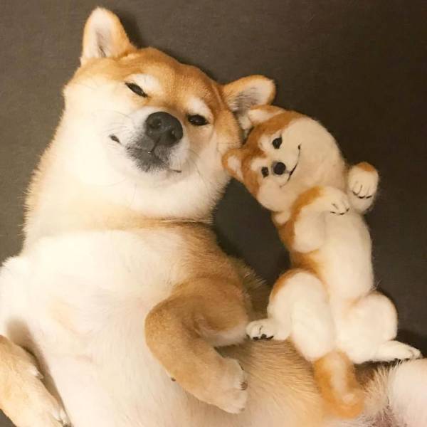 daily picdump 98 pics 41.html - 98 HD Photos | Premium Gallery 2018