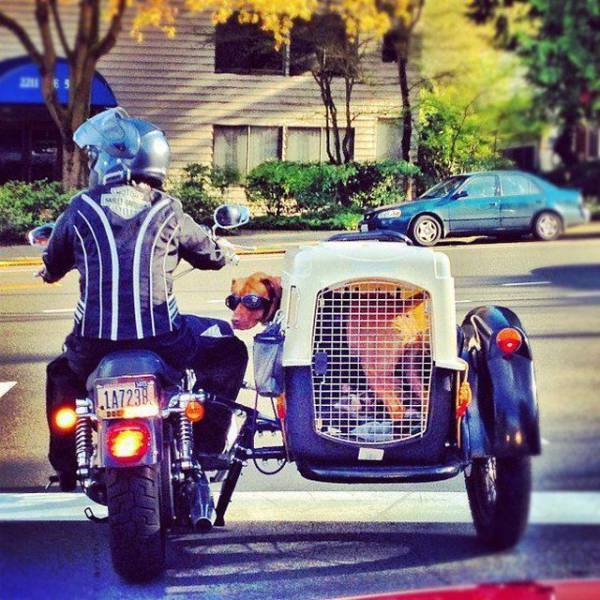 daily picdump 98 pics 41.html - 98 HD Photos | Premium Gallery 2018