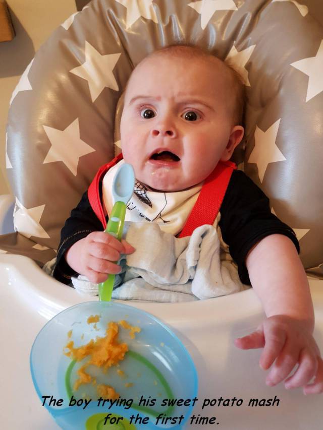 daily picdump 98 pics 41.html - 98 HD Photos | Premium Gallery 2018