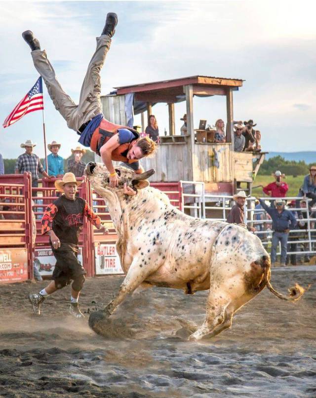 daily picdump 98 pics 41.html - 98 HD Photos | Premium Gallery 2018