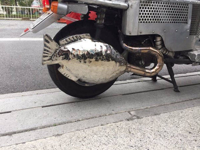 morning picdump 50 pics 1.html - 50 HD Photos | Premium Gallery 2018