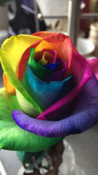 morning picdump 50 pics 1.html - 50 HD Photos | Premium Gallery 2018