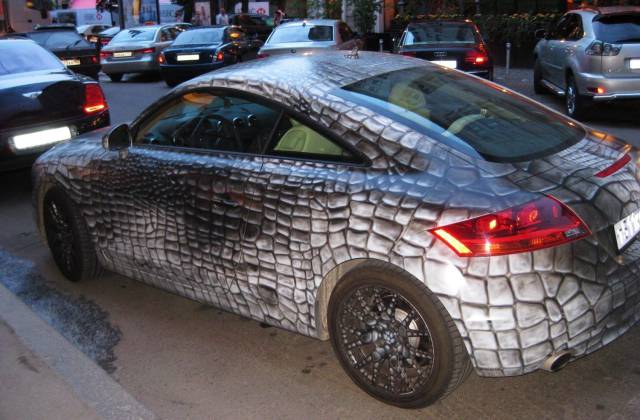 Daily Picdump