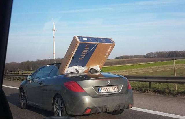 Daily Picdump