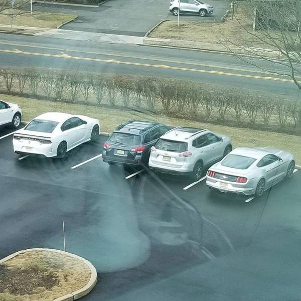 Daily Picdump