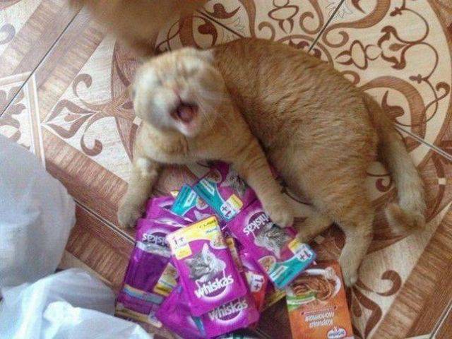 daily picdump 101 pics 34.html - 101 HD Photos | Premium Gallery 2018