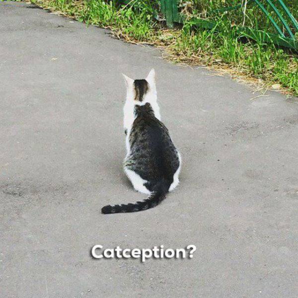daily picdump 101 pics 34.html - 101 HD Photos | Premium Gallery 2018