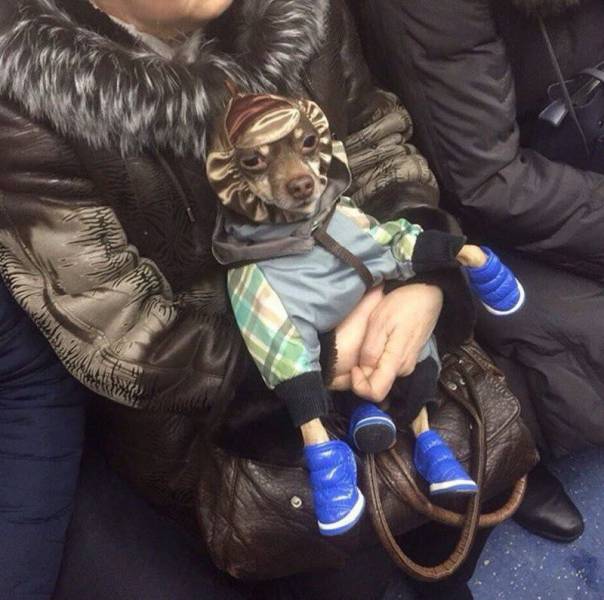 daily picdump 101 pics 34.html - 101 HD Photos | Premium Gallery 2018