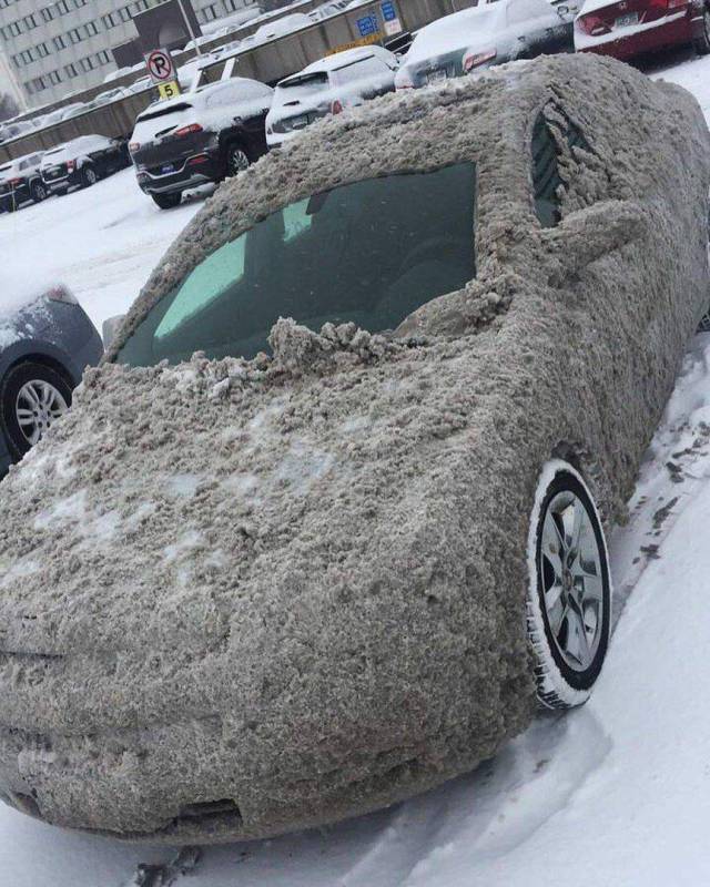 Daily Picdump