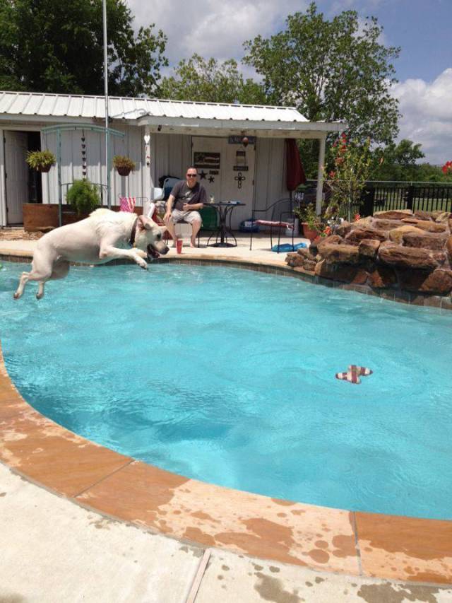 Daily Picdump