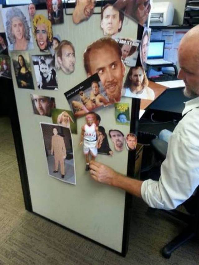 Daily Picdump
