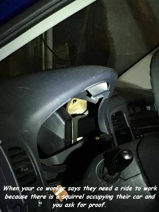 daily picdump 101 pics 34.html - 101 HD Photos | Premium Gallery 2018