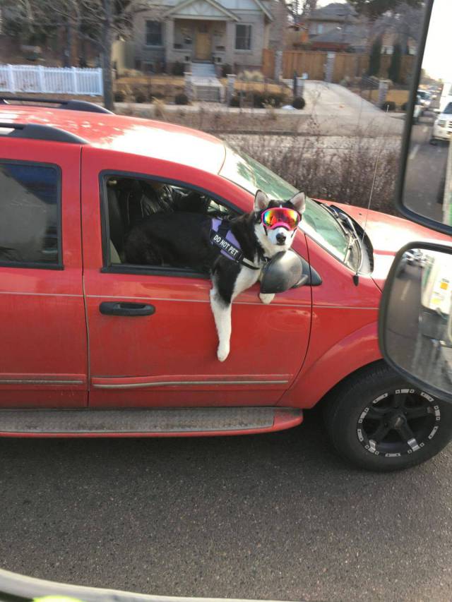 daily picdump 101 pics 34.html - 101 HD Photos | Premium Gallery 2018
