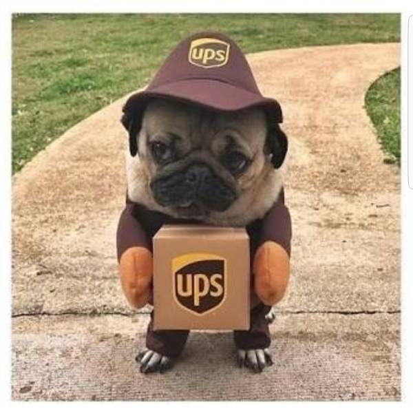 Morning Picdump