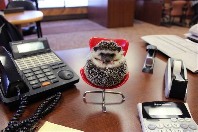 daily picdump 95 pics 1.html - 95 HD Photos | Premium Gallery 2018