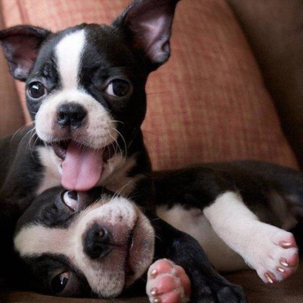 daily picdump 95 pics 1.html - 95 HD Photos | Premium Gallery 2018