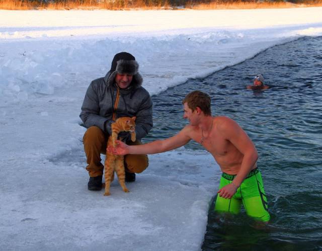 daily picdump 95 pics 1.html - 95 HD Photos | Premium Gallery 2018