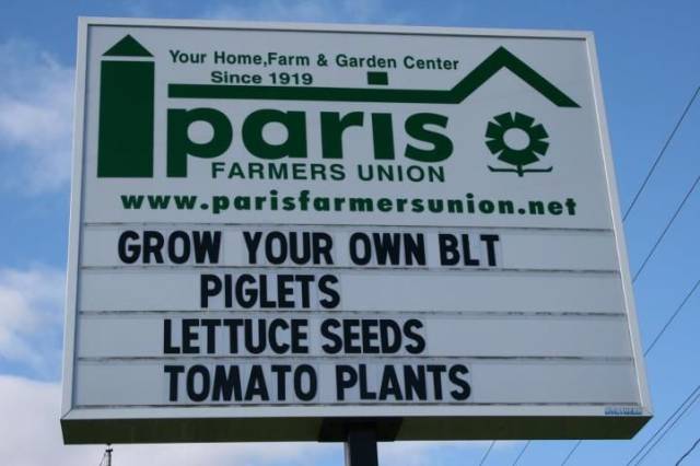 daily picdump 95 pics 1.html - 95 HD Photos | Premium Gallery 2018