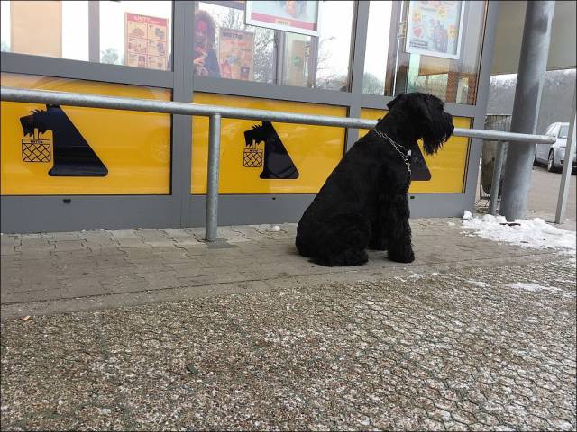 daily picdump 95 pics 1.html - 95 HD Photos | Premium Gallery 2018