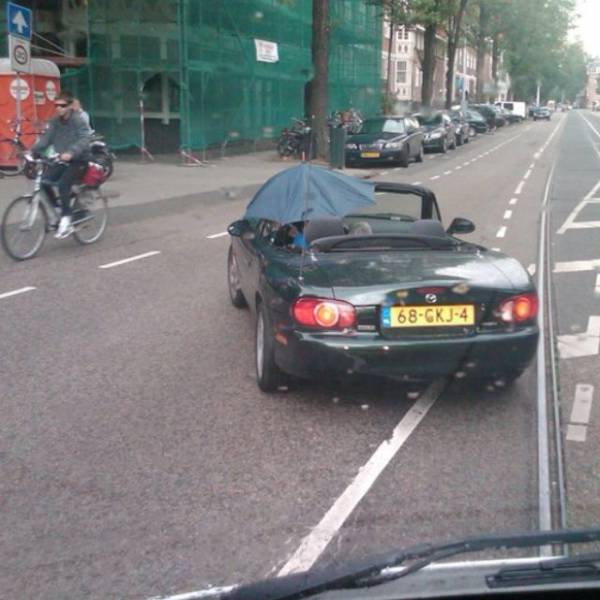 daily picdump 95 pics 1.html - 95 HD Photos | Premium Gallery 2018