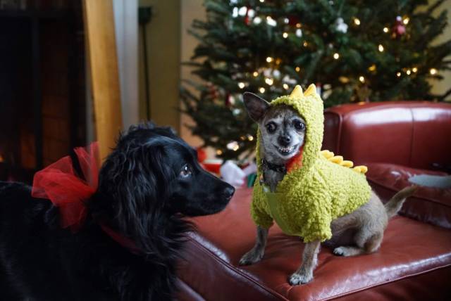 daily picdump 95 pics 1.html - 95 HD Photos | Premium Gallery 2018