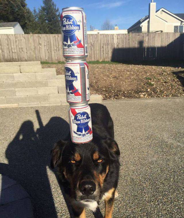 daily picdump 95 pics 1.html - 95 HD Photos | Premium Gallery 2018