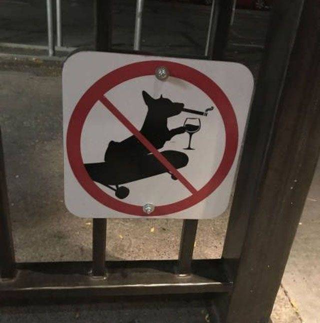 daily picdump 95 pics 1.html - 95 HD Photos | Premium Gallery 2018