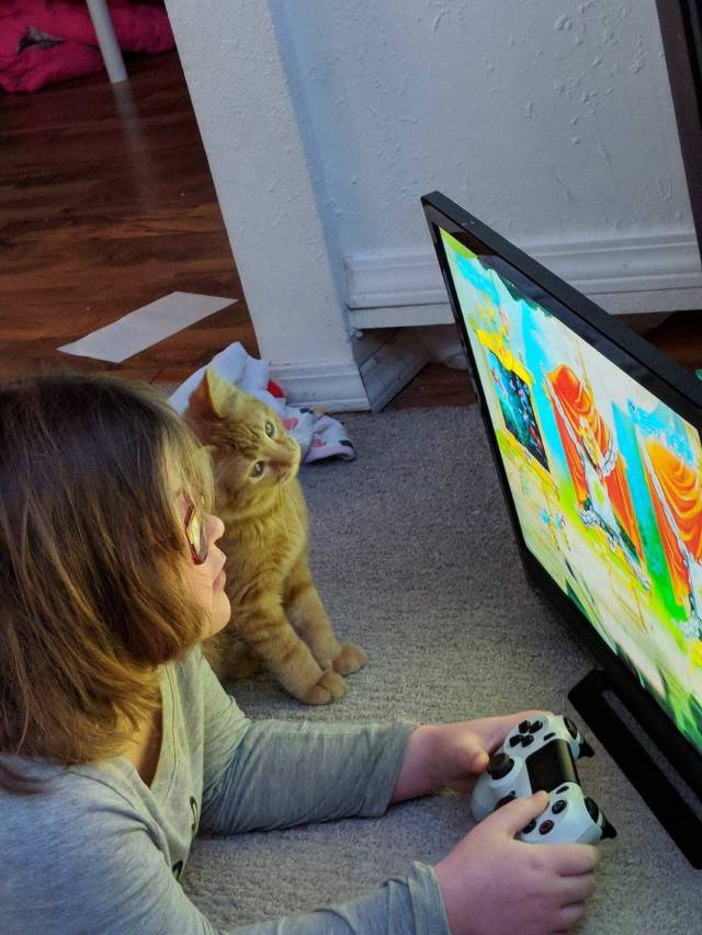 daily picdump 95 pics 1.html - 95 HD Photos | Premium Gallery 2018