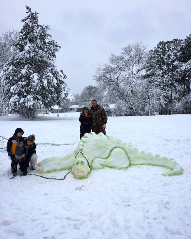 daily picdump 95 pics 1.html - 95 HD Photos | Premium Gallery 2018