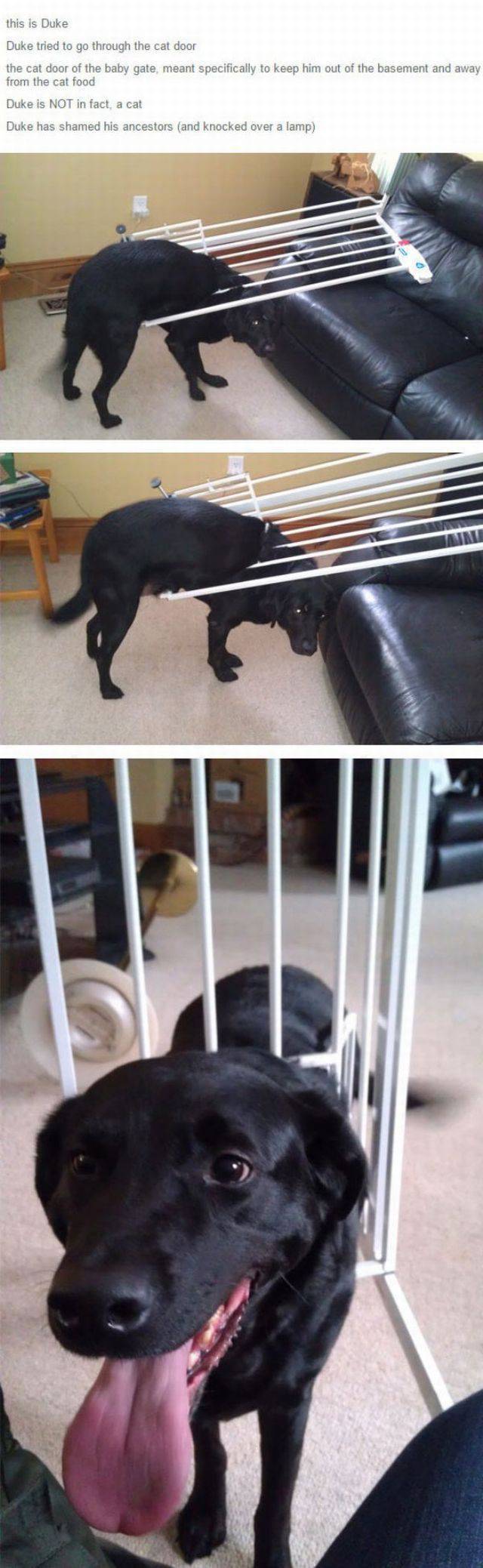 daily picdump 95 pics 1.html - 95 HD Photos | Premium Gallery 2018