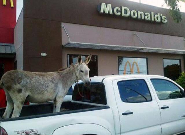 morning picdump 50 pics 17.html - 50 HD Photos | Premium Gallery 2018