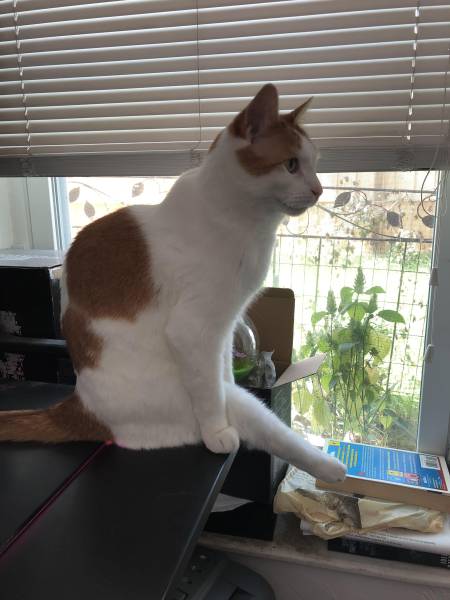 morning picdump 50 pics 17.html - 50 HD Photos | Premium Gallery 2018