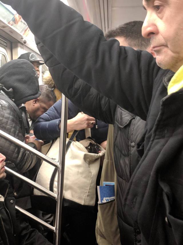 morning picdump 50 pics 17.html - 50 HD Photos | Premium Gallery 2018