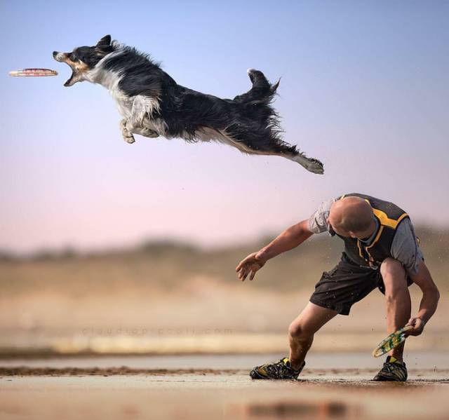 Daily Picdump [WEEKEND EDITION]