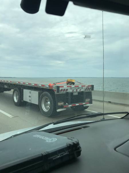 Daily Picdump [WEEKEND EDITION]