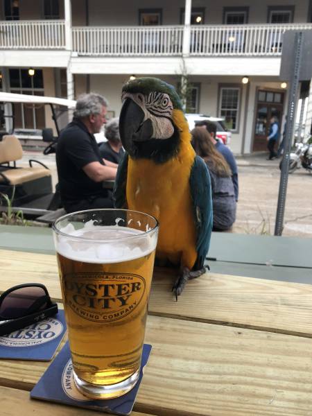 daily picdump weekend edition 52 pics 13.html - 52 HD Photos | Premium Gallery 2018