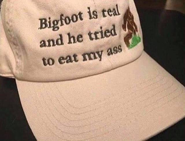 daily picdump weekend edition 52 pics 13.html - 52 HD Photos | Premium Gallery 2018