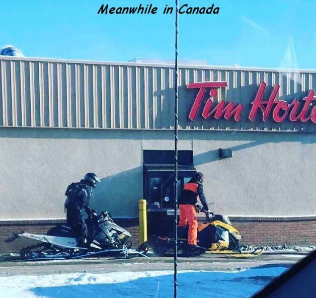 daily picdump 101 pics 11.html - 101 HD Photos | Premium Gallery 2018