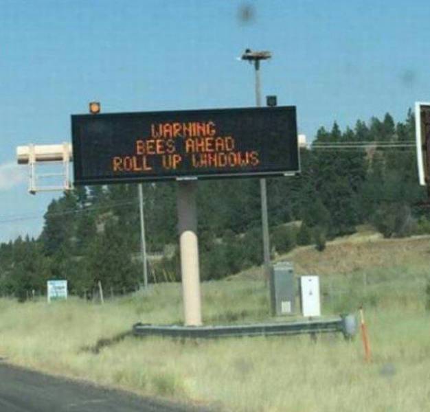 daily picdump 101 pics 11.html - 101 HD Photos | Premium Gallery 2018