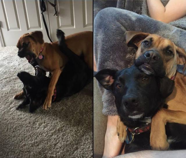 daily picdump 101 pics 11.html - 101 HD Photos | Premium Gallery 2018