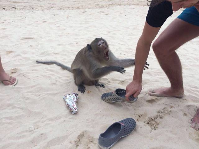 daily picdump 101 pics 11.html - 101 HD Photos | Premium Gallery 2018