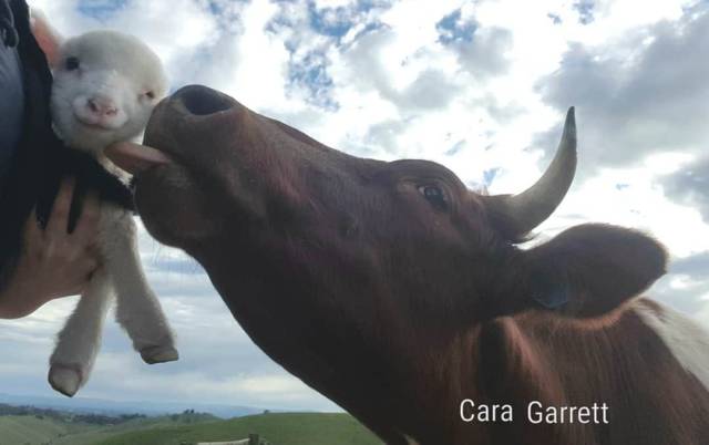 daily picdump 101 pics 11.html - 101 HD Photos | Premium Gallery 2018