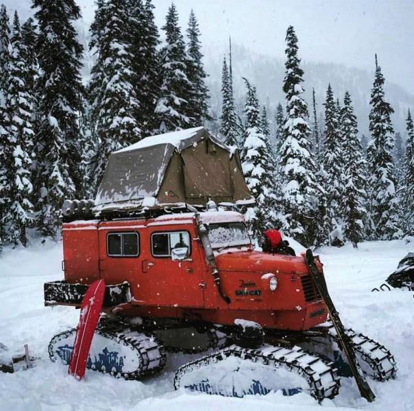 daily picdump 101 pics 11.html - 101 HD Photos | Premium Gallery 2018